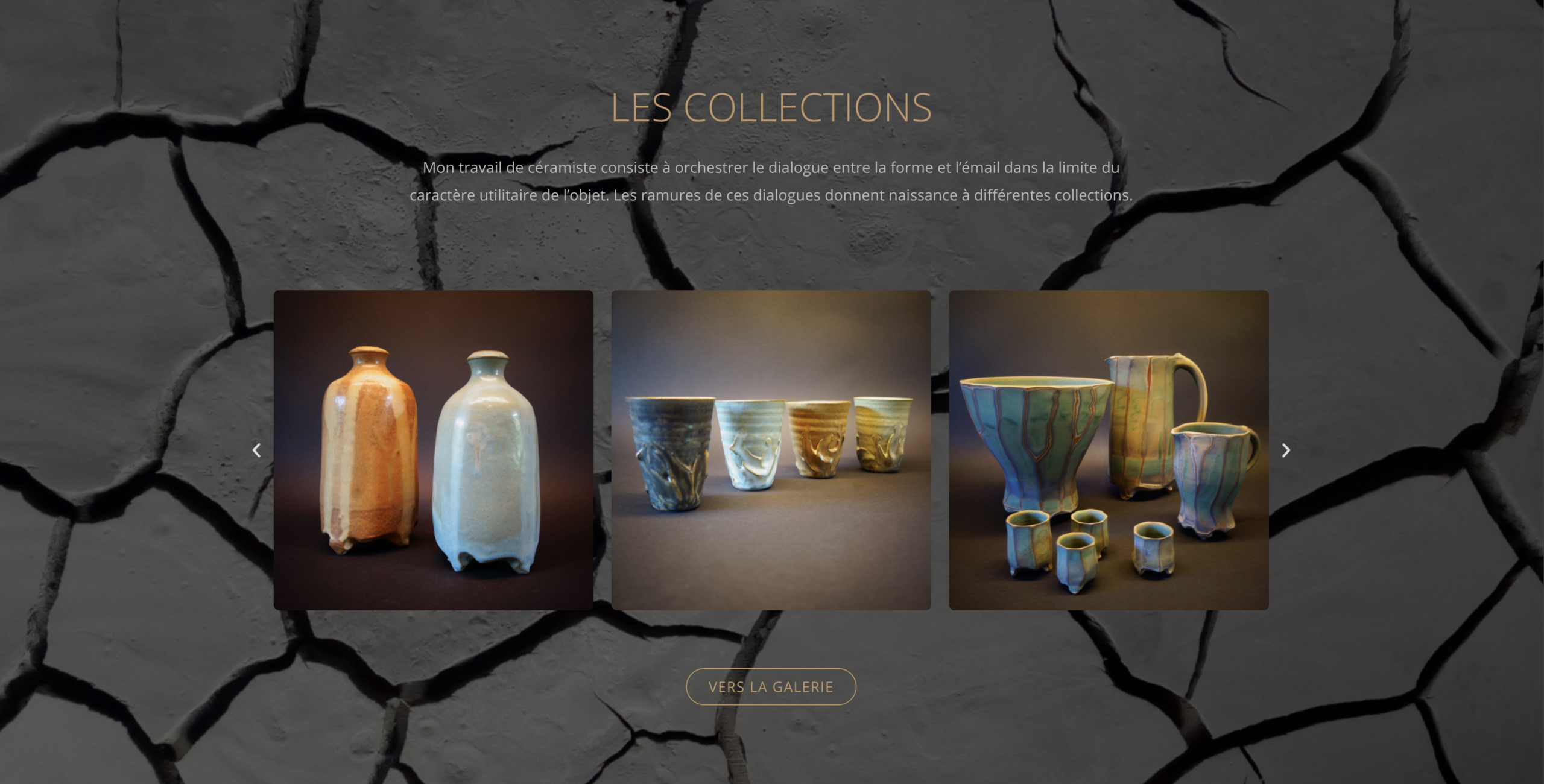 website nicolasraguin galerie