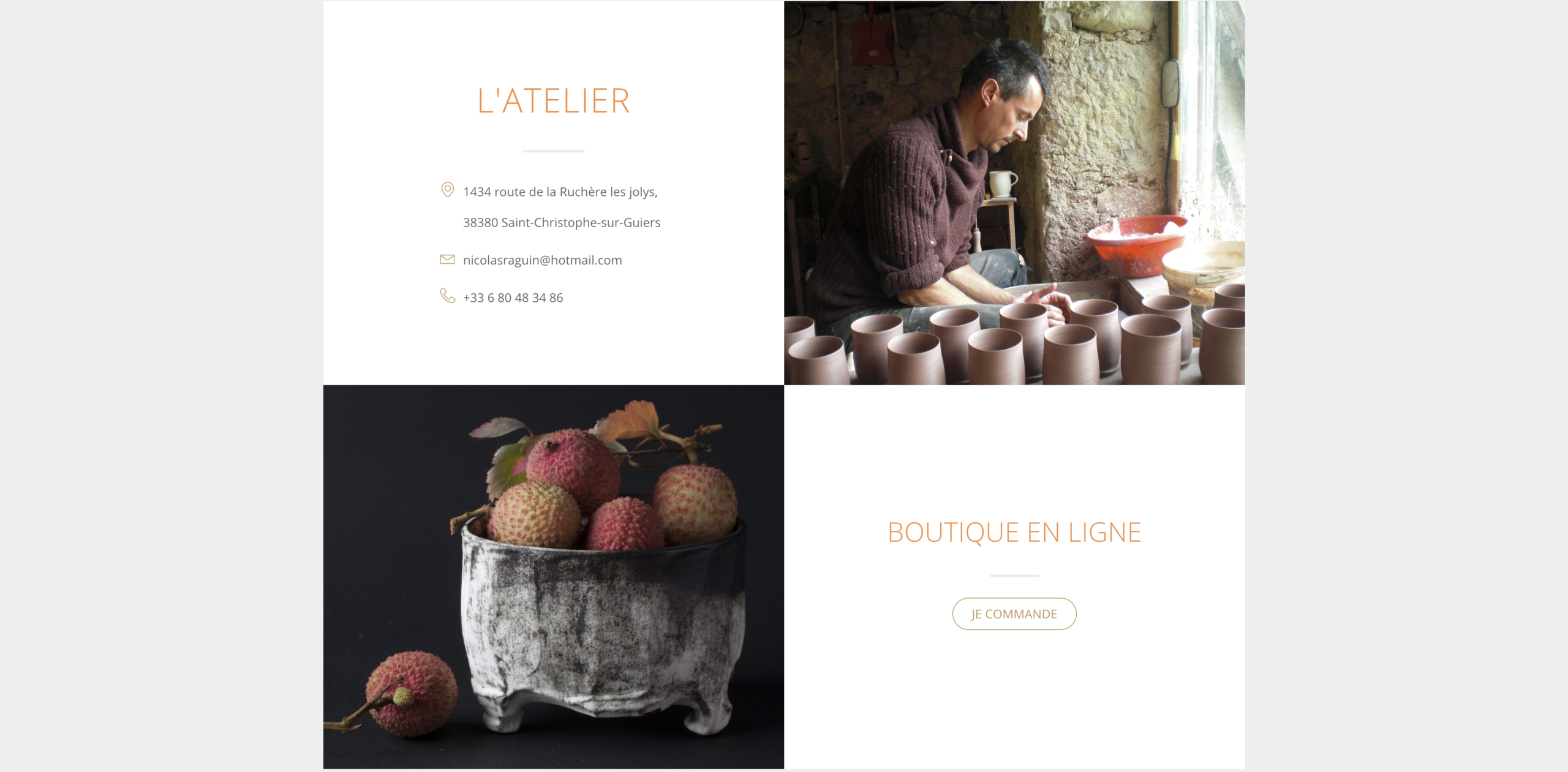 website nicolasraguin page contact