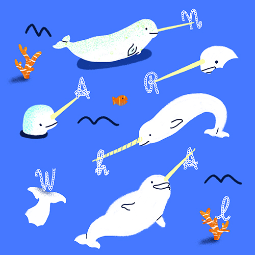 Pattern-narwhal-project